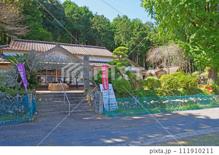 白い彼岸花の里築上町の智恵の文殊正光寺 111910211