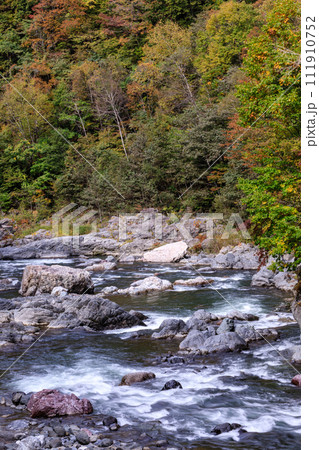 北海道占冠村、色づき始めた秋の鵡川【10月】 111910752