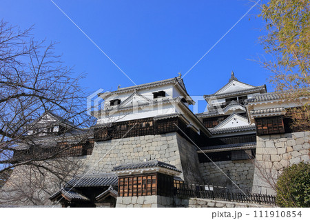 松山城本壇を紫竹門前から見上げる。南隅櫓・小天守・天守 111910854