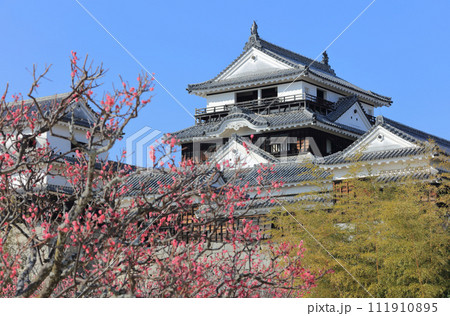 松山城本壇の連立式天守と本丸広場の紅梅 111910895