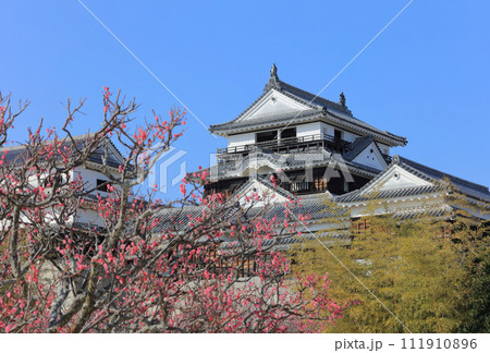 松山城本壇の連立式天守と本丸広場の紅梅 松山城本壇の連立式天守と本丸広場の紅梅 111910896