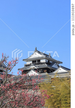 松山城本壇の連立式天守と本丸広場の紅梅 松山城本壇の連立式天守と本丸広場の紅梅 111910897