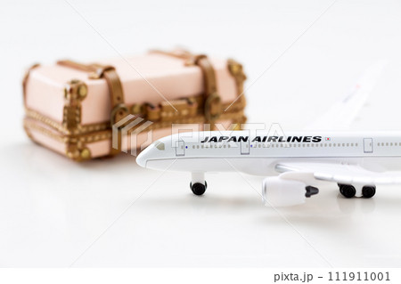 旅行鞄のトランクケースと飛行機 旅行鞄のトランクケースと飛行機 111911001