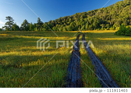 尾瀬・燧ヶ岳広沢田代の朝の風景 111911403