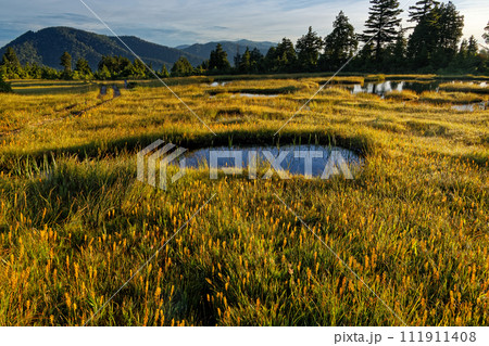 尾瀬・燧ヶ岳広沢田代の朝の風景 111911408
