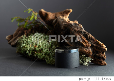 Abstract north nature composition and podium for your product. Abstract north nature composition and podium for your product. 111913405