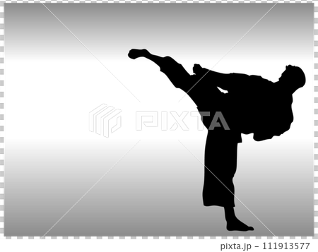 Karate upper roundhouse kick 111913577
