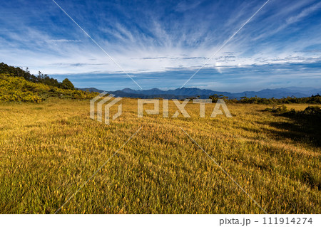 尾瀬・熊沢田代から見る越後三山・荒沢岳の山並み 111914274