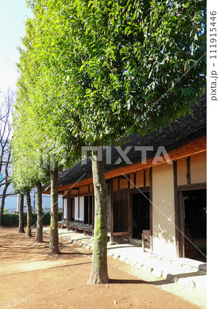武蔵野の農家の屋敷林(東京都国立市) 武蔵野の農家の屋敷林(東京都国立市) 111915446