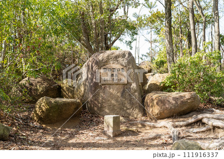 ゴロゴロ岳の山頂（六甲山地） 111916337