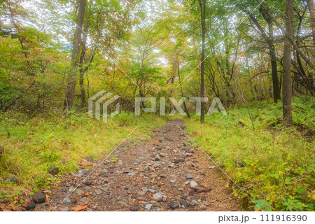 登山道【小浅間山】 111916390
