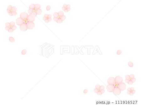 桜の花 111916527