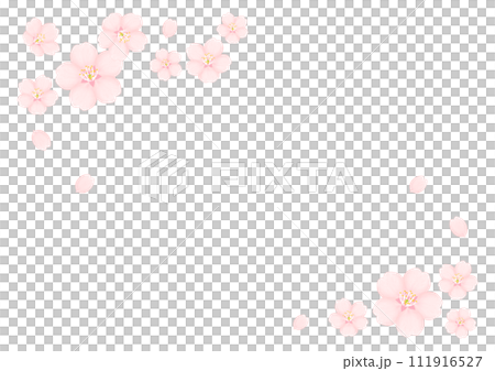 桜の花 111916527