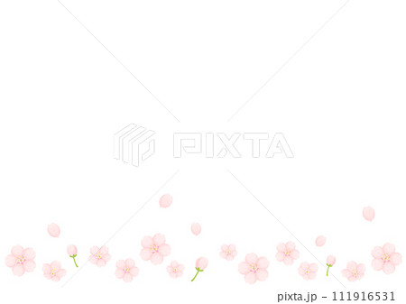 桜の花 111916531