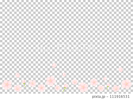 桜の花 111916531