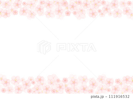 桜の花 111916532