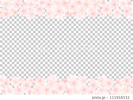 桜の花 111916532