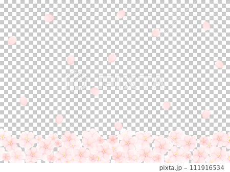 桜の花 111916534