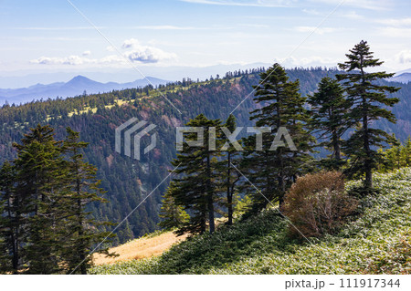 群馬と長野の県境　秋の渋峠 111917344