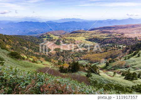 群馬と長野の県境　秋の渋峠から芳ヶ平湿地群を望む 111917357