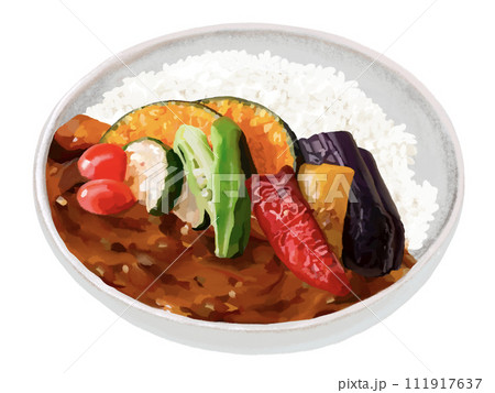 野菜カレー 野菜カレー 111917637