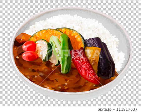 vegetable curry 111917637