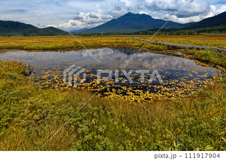 草紅葉の尾瀬ヶ原の池塘と燧ヶ岳の眺め 草紅葉の尾瀬ヶ原の池塘と燧ヶ岳の眺め 111917904