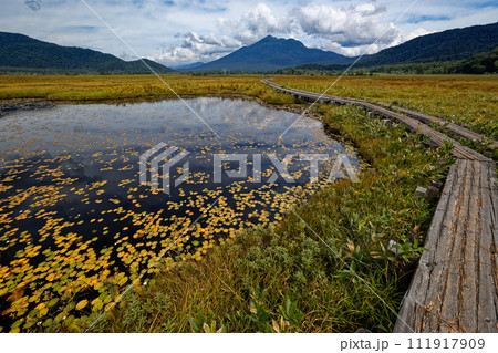 草紅葉の尾瀬ヶ原の池塘と燧ヶ岳の眺め 草紅葉の尾瀬ヶ原の池塘と燧ヶ岳の眺め 111917909
