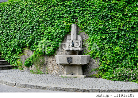 ノルトケッテ連峰から湧き出たおいしい水飲み場 ノルトケッテ連峰から湧き出たおいしい水飲み場 111918105