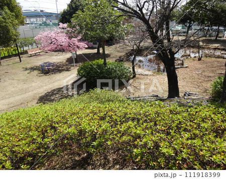 間々原新田緑地 (愛知県小牧市) 111918399