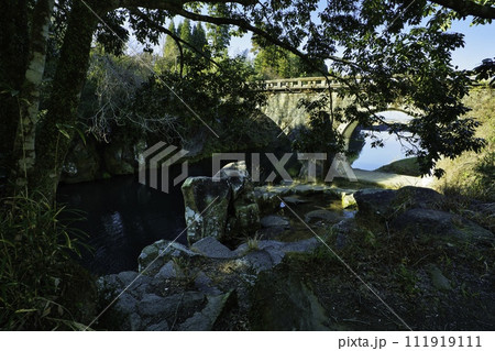 矢ヶ渕公園 R6年 矢ヶ渕公園 R6年 111919111