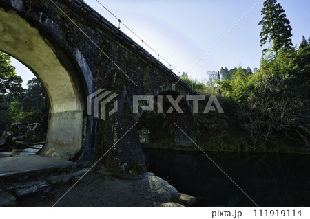 矢ヶ渕公園　R6年 111919114