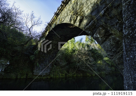 矢ヶ渕公園　R6年 111919115