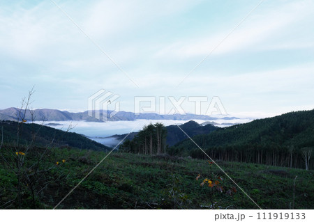 袖山高原から見た雲海 111919133