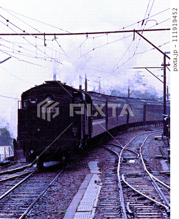 大井川鉄道の蒸気機関車 111919452