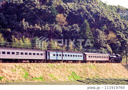 大井川鉄道の蒸気機関車 111919760