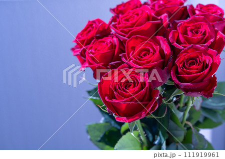 プロポーズ用の赤いバラ 111919961