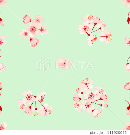 Watercolor hand drawn pink sakura flower square seamless pattern on pastel green 111920055