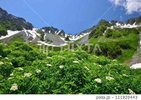 北アルプス 涸沢槍カール　夏景色 111920443