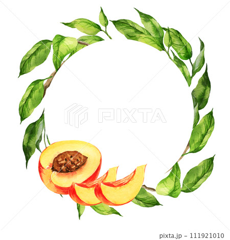 watercolor wreath with illustration of summer fruit, peach or apricot, nectarine on a branches with green leaves, sketch of sweet food isolated on white background watercolor wreath with illustration of summer fruit, peach or apricot, nectarine on a branches with green leaves, sketch of sweet food isolated on white background 111921010