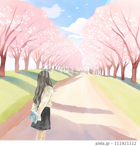 桜並木を歩く女性の後ろ姿 桜並木を歩く女性の後ろ姿 111921112