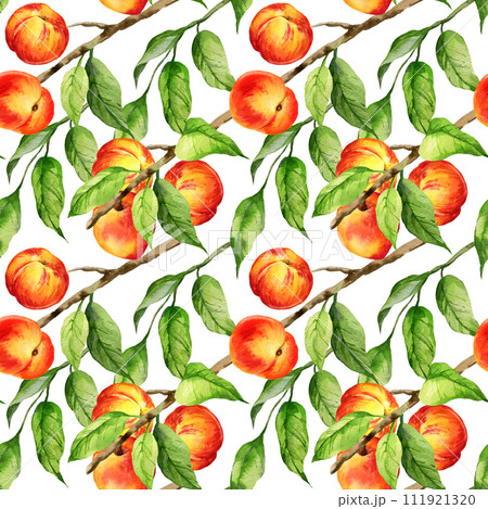 watercolor seamless pattern with illustration of summer fruit, peach or apricot, nectarine on a branches with green leaves, sketch of sweet food on white background watercolor seamless pattern with illustration of summer fruit, peach or apricot, nectarine on a branches with green leaves, sketch of sweet food on white background 111921320