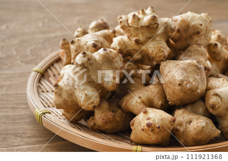 菊芋 菊芋 111921368