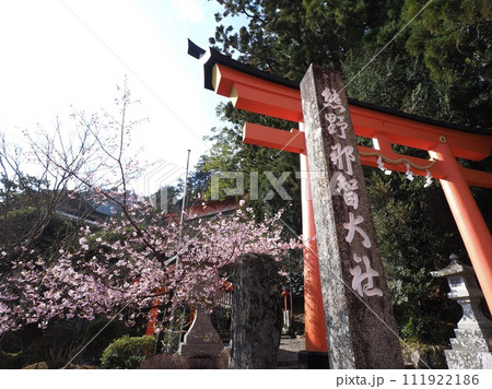 熊野那智大社　参道　鳥居 111922186