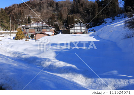 雪の覆われた豪雪地帯の冬晴れの雪原の姿 雪の覆われた豪雪地帯の冬晴れの雪原の姿 111924071