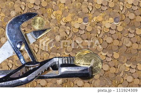 Allegory of the global financial crisis - Iron 10 rubles coin (written ten rubles, the Bank of Russia) in the grip of economic crisis. Finance and business concept Allegory of the global financial crisis - Iron 10 rubles coin (written ten rubles, the Bank of Russia) in the grip of economic crisis. Finance and business concept 111924309