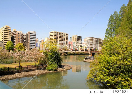 桜之宮公園の桜と大川を渡るJR大阪環状線 桜之宮公園の桜と大川を渡るJR大阪環状線 111924625
