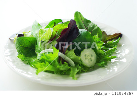 爽やかグリーンサラダ 爽やかグリーンサラダ 111924867