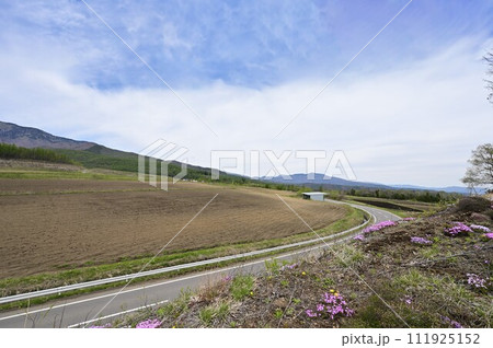 嬬恋村の農地とつまごいパノラマライン/群馬県嬬恋村 嬬恋村の農地とつまごいパノラマライン/群馬県嬬恋村 111925152