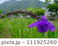 月見橋② 111925260